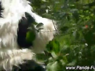 Fetis roșu calarind glugă și plush panda